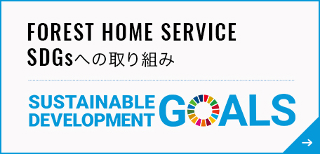 SDGs